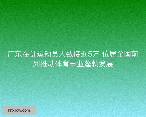 广东在训运动员人数接近5万 位居全国前列推动体育事业蓬勃发展